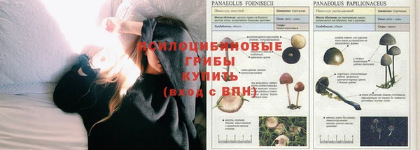 герыч Дмитров