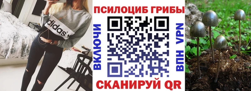 гидра   Шебекино  Псилоцибиновые грибы GOLDEN TEACHER 